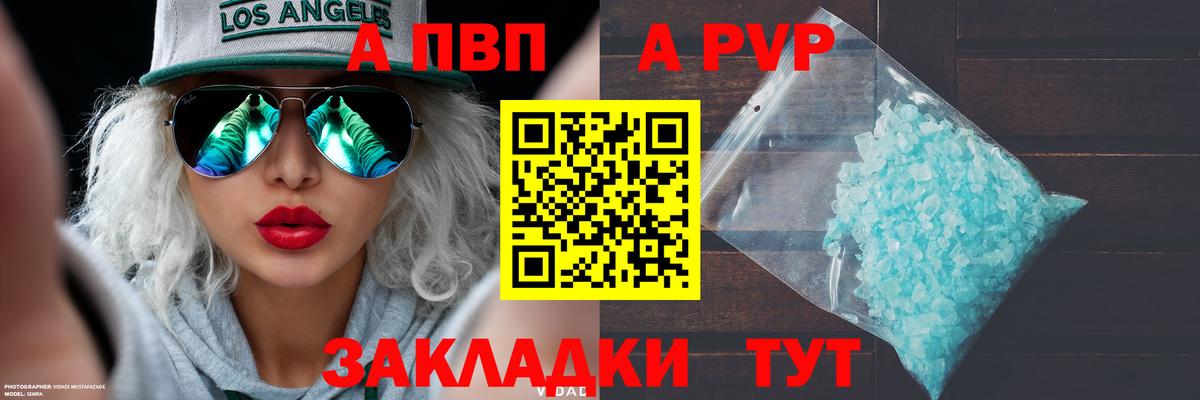 APVP СК Славгород