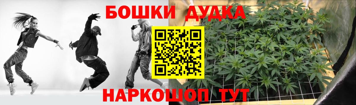 Шишки марихуана гибрид Славгород